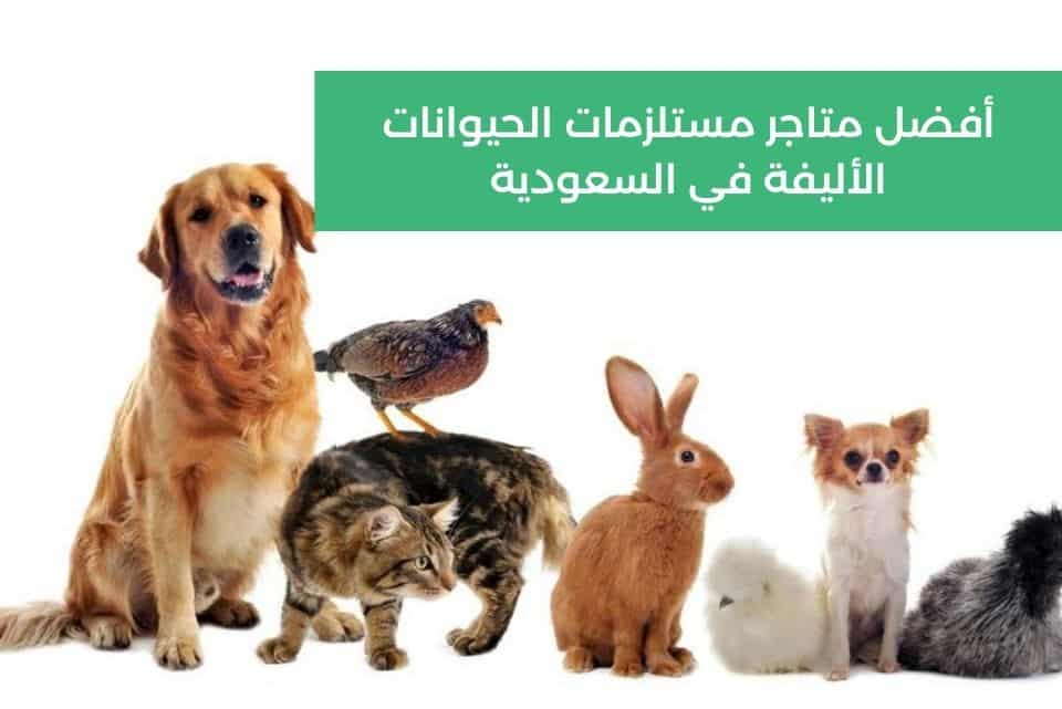أفضل متاجر مستلزمات الحيوانات الأليفة في السعودية